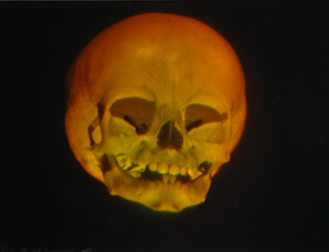 Skull hologram door DHL